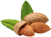 Huile essentielle Amande amère Aroma-Zone