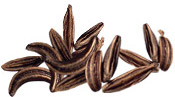 Huile essentielle Carvi Aroma-Zone