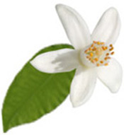 Huile essentielle Néroli BIO Aroma-Zone