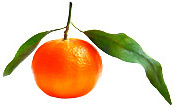 Huile essentielle Mandarine rouge Aroma-Zone