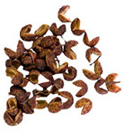 Huile essentielle Xanthoxylum BIO Aroma-Zone