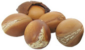 Huile végétale Argan BIO Aroma-Zone