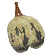 Huile végétale Baobab BIO Aroma-Zone