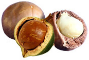 Huile végétale Macadamia Aroma-Zone