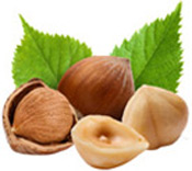 Huile végétale Noisette BIO Aroma-Zone
