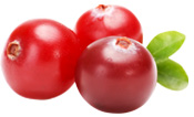 Poudre Cranberry Aroma-Zone
