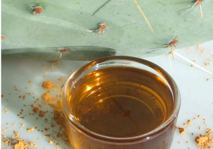 Recette Contour des yeux jeunesse Or Noir