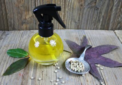 Recette Lotion