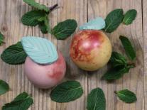 Savon à croquer Peach