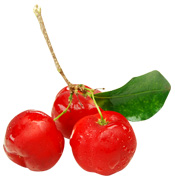 Poudre Acérola BIO Aroma-Zone