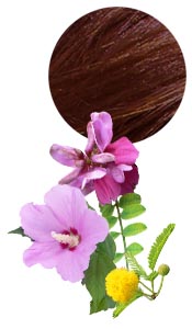 Coloration & Soin capillaire Henné Brun Grenat Aroma-Zone