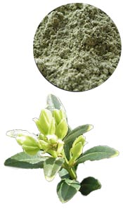 Coloration & Soin capillaire Katam Aroma-Zone