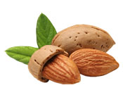 Beurre végétal Amande BIO Aroma-Zone