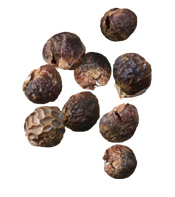 Poudre ayurvédique Reetha Aroma-Zone