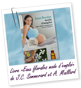 Livre Livre