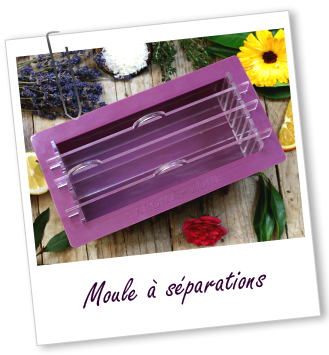 Moule en silicone à séparations Aroma-Zone Moule en silicone à séparations Aroma-Zone