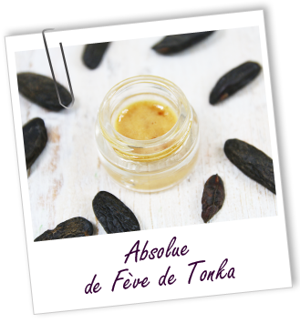 Absolue Tonka fèves Aroma-Zone Absolue Tonka fèves Aroma-Zone