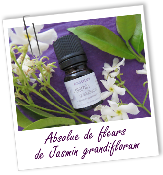 Absolue Jasmin grandiflorum Aroma-Zone