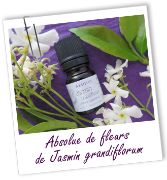 Absolue Jasmin grandiflorum Aroma-Zone Absolue Jasmin grandiflorum Aroma-Zone