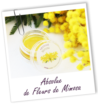 Absolue Mimosa Aroma-Zone