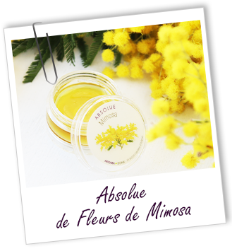 Absolue Mimosa Aroma-Zone Absolue Mimosa Aroma-Zone