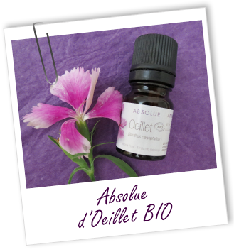 Absolue Oeillet BIO Aroma-Zone Absolue Oeillet BIO Aroma-Zone