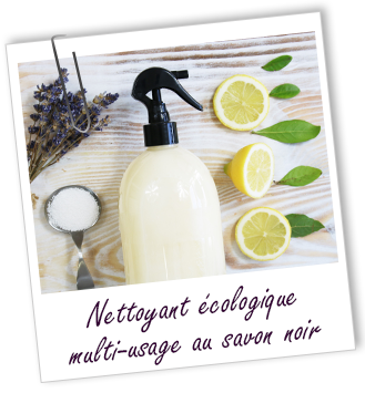 Atelier l'Essentiel - Nettoyant écologique multi-usages au Savon noir - Aroma-Zone Atelier l'Essentiel - Nettoyant écologique multi-usages au Savon noir - Aroma-Zone