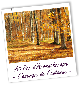 Atelier d'Aromathérapie familiale - L'ENERGIE DE L'AUTOMNE - accompagner l'arrivée de l'automne avec les huiles essentielles Aroma-Zone