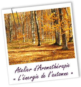 Atelier d'Aromathérapie familiale - L'ENERGIE DE L'AUTOMNE - accompagner l'arrivée de l'automne avec les huiles essentielles Aroma-Zone Atelier d'Aromathérapie familiale - L'ENERGIE DE L'AUTOMNE - accompagner l'arrivée de l'automne avec les huiles essentielles Aroma-Zone