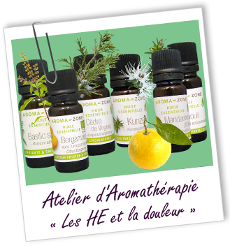 Atelier d'Aromathérapie familiale - LES HUILES ESSENTIELLES ET LA DOULEUR - Aroma-Zone Atelier d'Aromathérapie familiale - LES HUILES ESSENTIELLES ET LA DOULEUR - Aroma-Zone