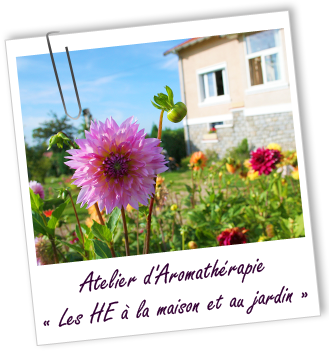 Atelier d'Aromathérapie familiale - LES HUILES ESSENTIELLES A LA MAISON ET AU JARDIN - Aroma-Zone Atelier d'Aromathérapie familiale - LES HUILES ESSENTIELLES A LA MAISON ET AU JARDIN - Aroma-Zone