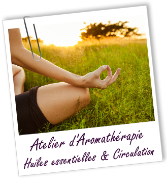 Atelier d'Aromathérapie familiale - Huiles essentielles & Circulation Aroma-Zone Atelier d'Aromathérapie familiale - Huiles essentielles & Circulation Aroma-Zone