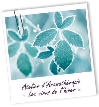 Atelier Aromathérapie - Les virus de l'hiver - Aroma-Zone Atelier Aromathérapie - Les virus de l'hiver - Aroma-Zone