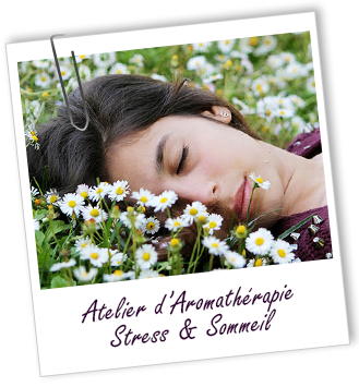 Atelier aromathérapie - Stress & Sommeil - Aroma-Zone Atelier aromathérapie - Stress & Sommeil - Aroma-Zone