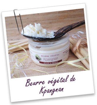 Beurre végétal Kpangnan (sauvage) Aroma-Zone Beurre végétal Kpangnan (sauvage) Aroma-Zone