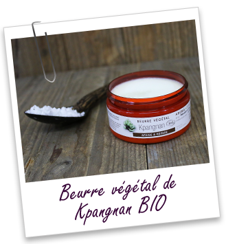 Beurre végétal Kpangnan brut BIO Aroma-Zone Beurre végétal Kpangnan brut BIO Aroma-Zone