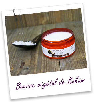 Beurre végétal Kokum (sauvage) Aroma-Zone Beurre végétal Kokum (sauvage) Aroma-Zone