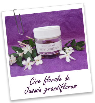 Cire florale Jasmin grandiflorum Aroma-Zone Cire florale Jasmin grandiflorum Aroma-Zone