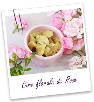 Cire florale Rose Aroma-Zone Cire florale Rose Aroma-Zone