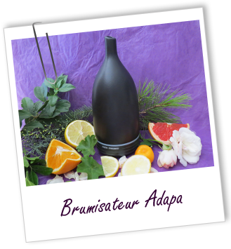 Brumisateur Adapa Aroma-Zone Brumisateur Adapa Aroma-Zone