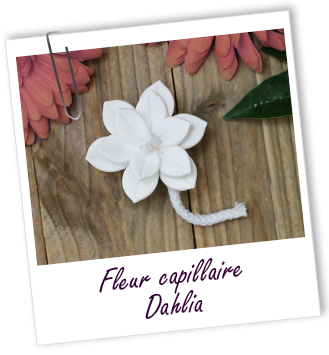 Fleur capillaire Dahlia Aroma-Zone