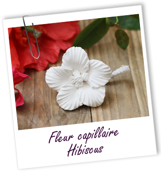 Fleur capillaire Hibiscus Aroma-Zone