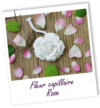 Fleur capillaire Rose Aroma-Zone Fleur capillaire Rose Aroma-Zone
