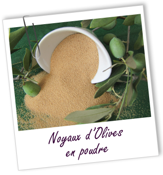Exfoliant Noyaux d'Olives en poudre Aroma-Zone Exfoliant Noyaux d'Olives en poudre Aroma-Zone