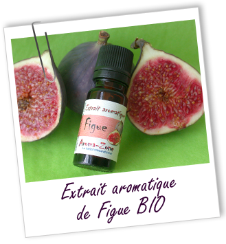 Extrait aromatique naturel Figue BIO Aroma-Zone Extrait aromatique naturel Figue BIO Aroma-Zone