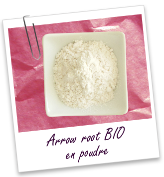 Poudre Arrow root BIO Aroma-Zone Poudre Arrow root BIO Aroma-Zone