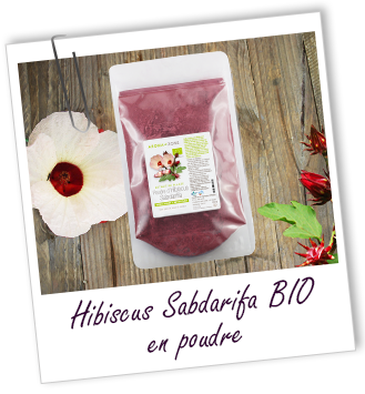 Poudre ayurvédique Hibiscus BIO Aroma-Zone Poudre ayurvédique Hibiscus BIO Aroma-Zone