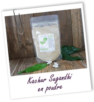Poudre ayurvédique Kachur sugandhi Aroma-Zone Poudre ayurvédique Kachur sugandhi Aroma-Zone
