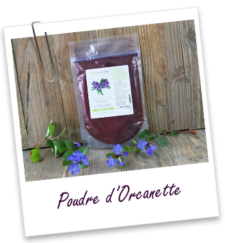 Colorant végétal Orcanette en poudre Aroma-Zone Colorant végétal Orcanette en poudre Aroma-Zone