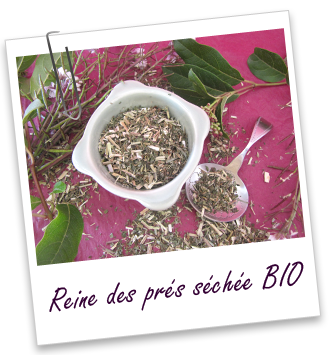 Reine des prés séchée BIO Aroma-Zone Reine des prés séchée BIO Aroma-Zone